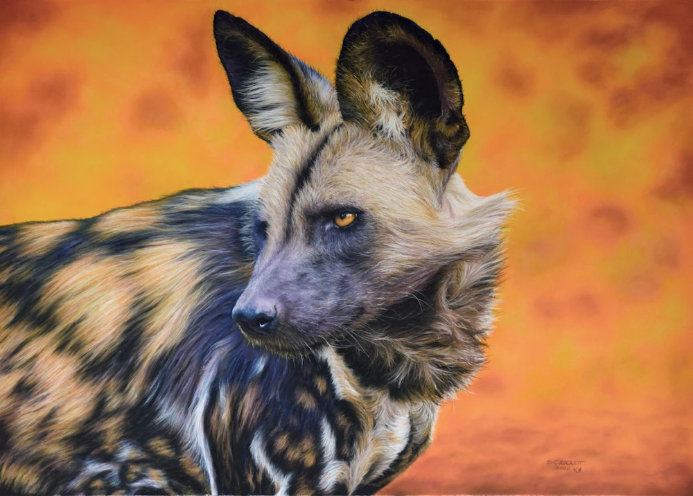 Painting of an African Wild Dog with a fiery background