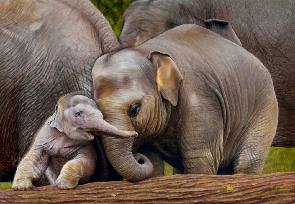 Mother Asian elephant and calf sharing a gentle moment in the wild