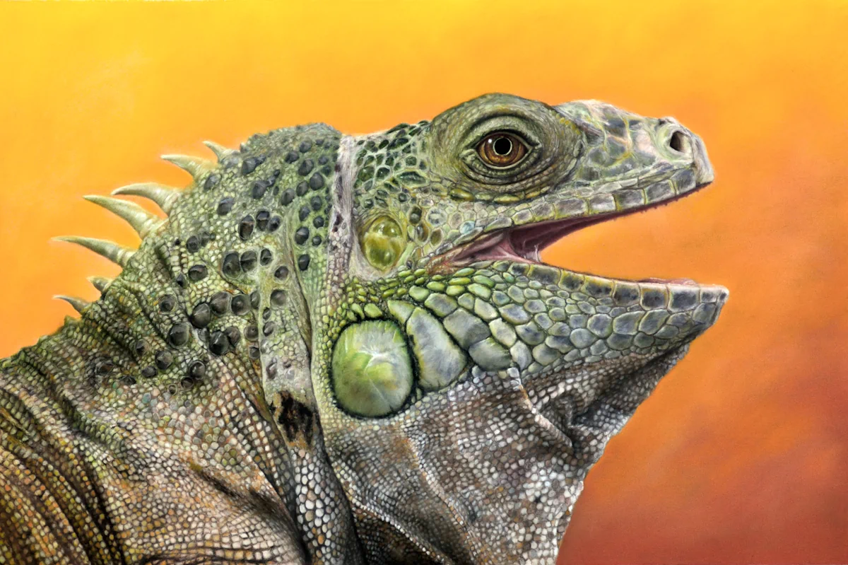 Pet Portrait Gallery of Other Animals