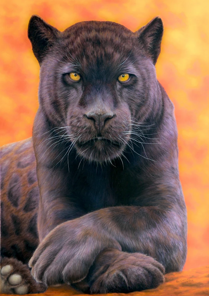 Wildlife art painting of a black jaguar staring at the viewer with a fiery background
