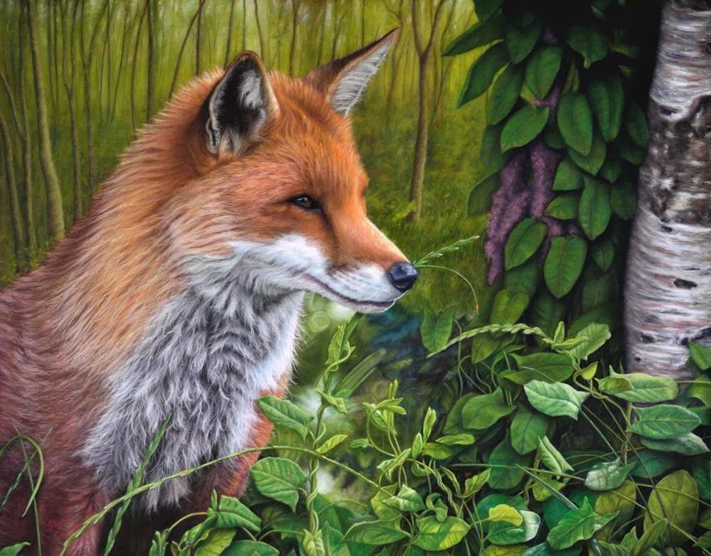 Detailed wildlife painting of a red fox in woodland