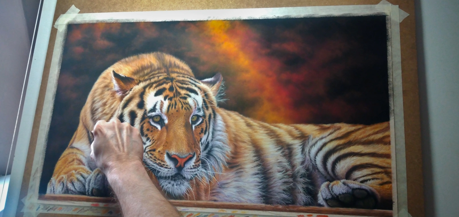 Work in progress pastel painting of a relaxed tiger, showing vibrant colour and texture
