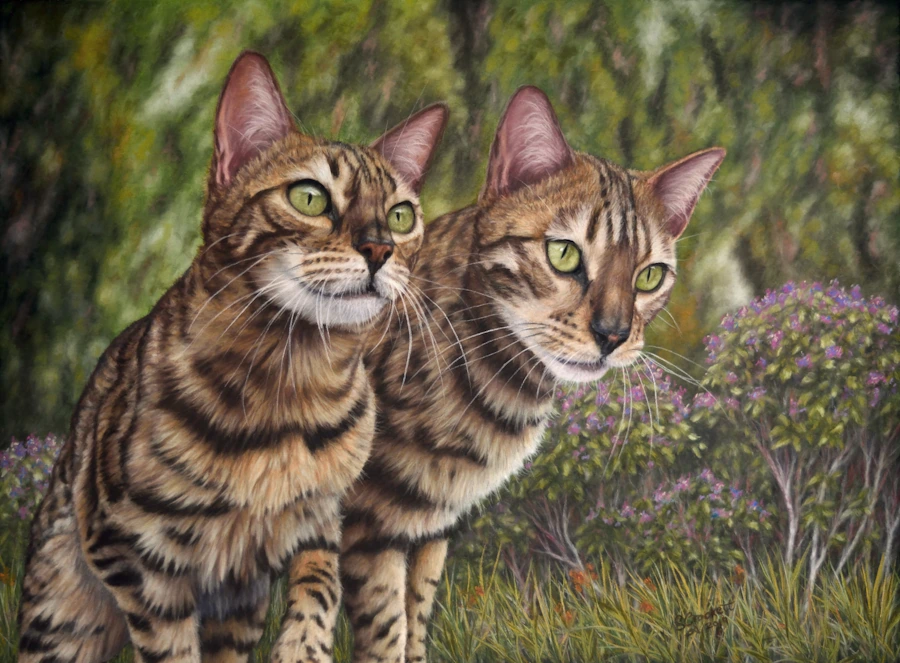Custom hand-painted cat pet portrait of 2 bengal cats