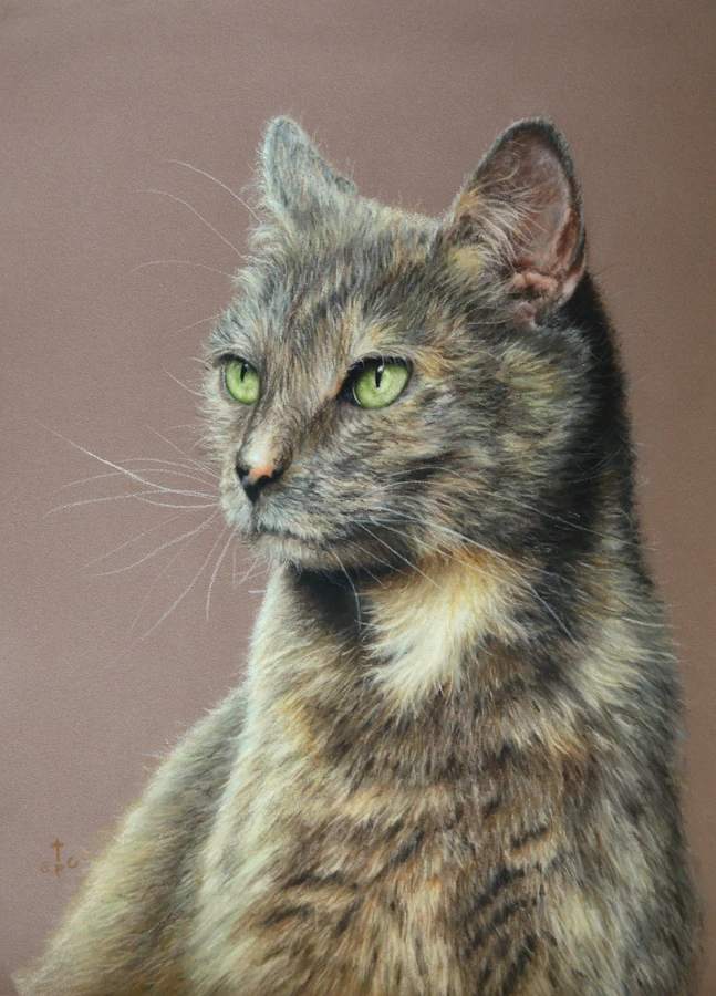 Hand painted pastel pet portrait of a tortoiseshell cat with intense eyes